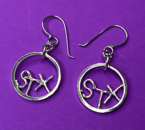 STX Hoop Earrings (Small)